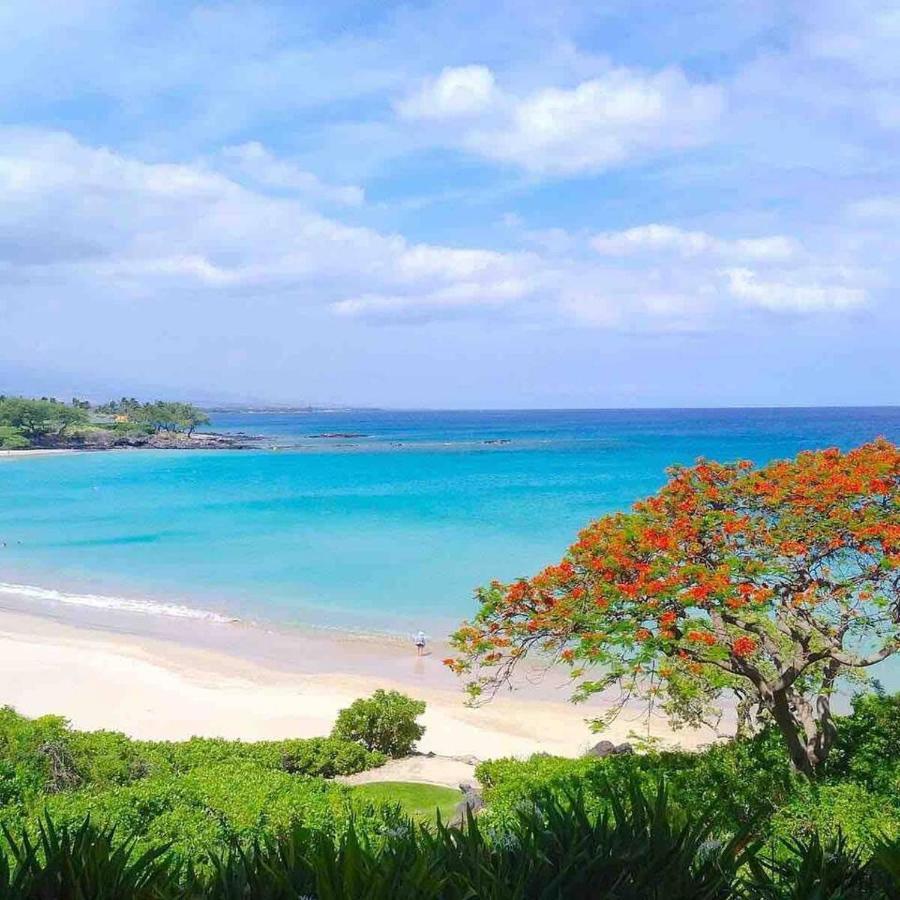 Family Friendly Kailua Bay View Ac Free Parking Walk To Kailua Village エクステリア 写真