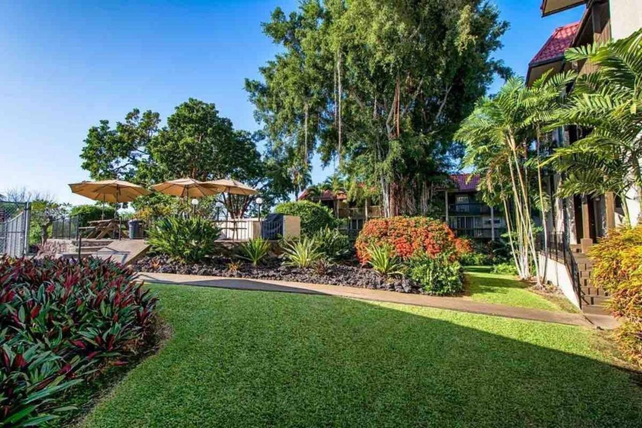 Family Friendly Kailua Bay View Ac Free Parking Walk To Kailua Village エクステリア 写真