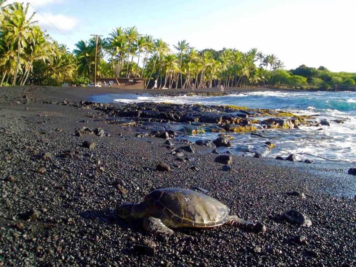 Family Friendly Kailua Bay View Ac Free Parking Walk To Kailua Village エクステリア 写真
